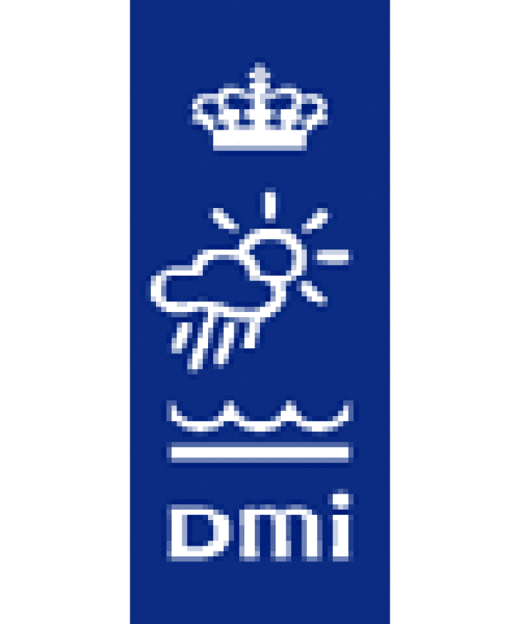 Logo DMI breit