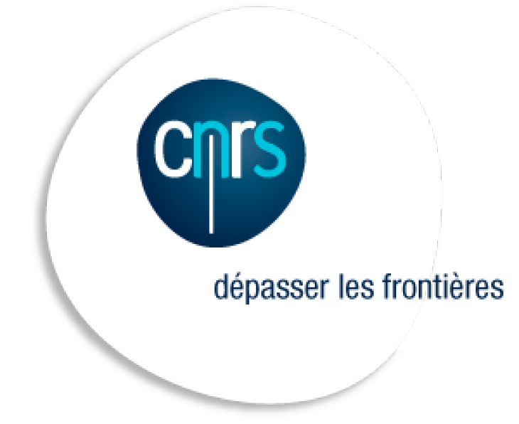 Logo CNRS Schrift